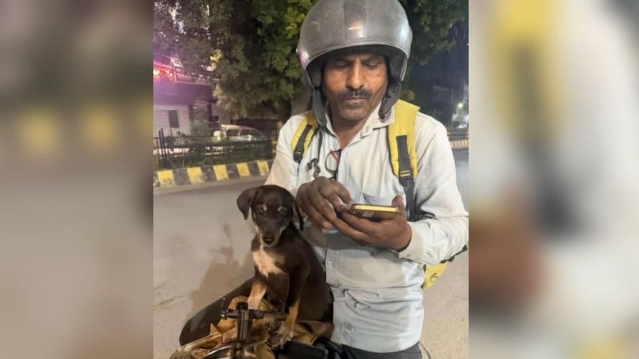Viral: ಆರ್ಡರ್ ತಲುಪಿಸಲು ಪುಟ್ಟ ನಾಯಿ ಮರಿ ಜತೆಗೆ ಮನೆ ಬಾಗಿಲಿಗೆ ಬಂದ ಬ್ಲಿಂಕಿಟ್ ಡೆಲಿವರಿ ಬಾಯ್ Viral: ಆರ್ಡರ್ ತಲುಪಿಸಲು ಪುಟ್ಟ ನಾಯಿ ಮರಿ ಜತೆಗೆ ಮನೆ ಬಾಗಿಲಿಗೆ ಬಂದ ಬ್ಲಿಂಕಿಟ್ ಡೆಲಿವರಿ ಬಾಯ್
