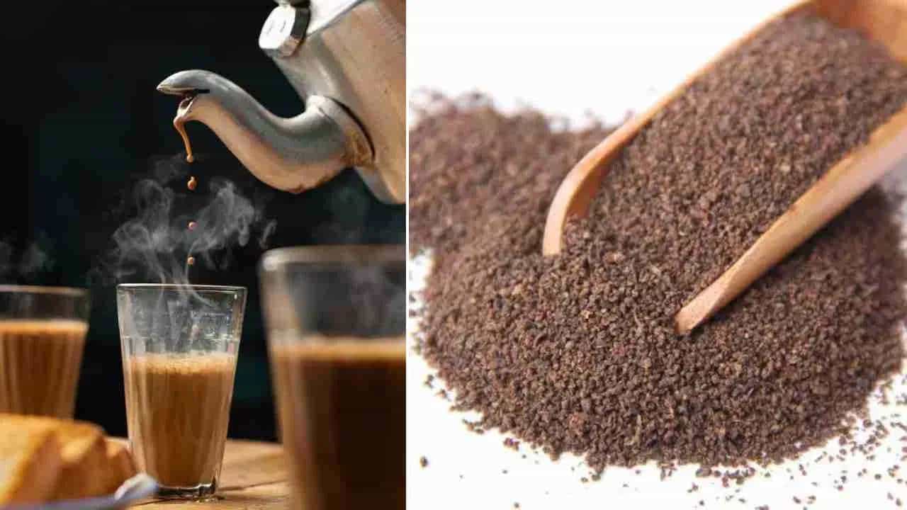 Used Tea Powder: ಚಹಾ ಮಾಡಿದ ಬಳಿಕ ಉಳಿದ ಟೀ ಪುಡಿ ಎಸೆಯಬೇಡಿ; ಮನೆಯ ಸ್ವಚ್ಛತೆಗೆ ಹೀಗೆ ಬಳಸಿ Used Tea Powder: ಚಹಾ ಮಾಡಿದ ಬಳಿಕ ಉಳಿದ ಟೀ ಪುಡಿ ಎಸೆಯಬೇಡಿ; ಮನೆಯ ಸ್ವಚ್ಛತೆಗೆ ಹೀಗೆ ಬಳಸಿ
