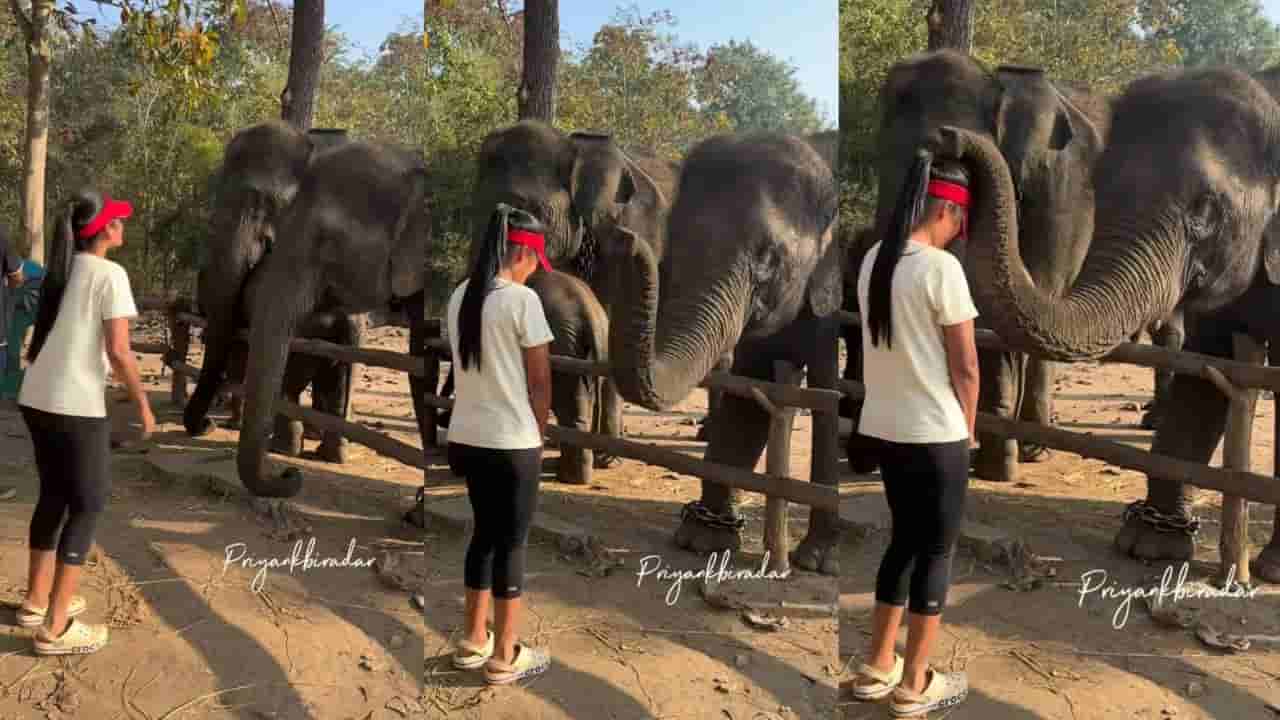 Video: ಯುವತಿ ರಿಕ್ವೆಸ್ಟ್ ಮಾಡುತ್ತಿದ್ದಂತೆ ಸೊಂಡಿಲೆತ್ತಿ ಆಶೀರ್ವಾದ ಮಾಡಿದ ಗಜರಾಜ