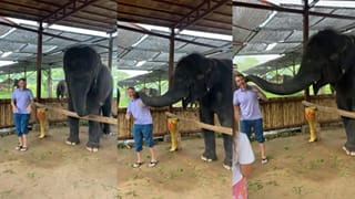 Video: ಗಜರಾಜ ಕೆನ್ನೆಗೆ ಮುತ್ತಿಡುತ್ತಿದ್ದಂತೆ ನಾಚಿ ನೀರಾದ ಯುವಕ