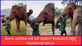 Video: ಟೋಪಿ ಎಗರಿಸಿದ ಆನೆ ಬಳಿ ವಾಪಾಸ್ ಕೊಡುವಂತೆ ರಿಕ್ವೆಸ್ಟ್ ಮಾಡಿಕೊಂಡ ಮಾಲಕಿ
