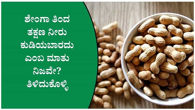 ಶೇಂಗಾ ತಿಂದ ತಕ್ಷಣ ನೀರು ಕುಡಿಯಬಾರದು ಎನ್ನುವುದಕ್ಕೆ ಕಾರಣವೇನು?