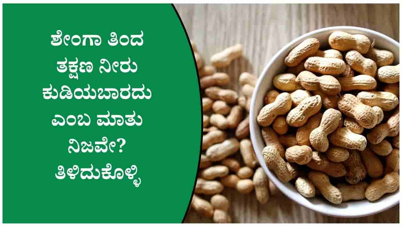 ಶೇಂಗಾ ತಿಂದ ತಕ್ಷಣ ನೀರು ಕುಡಿಯಬಾರದು ಎಂಬ ಮಾತು ನಿಜವೇ? ತಿಳಿದುಕೊಳ್ಳಿ