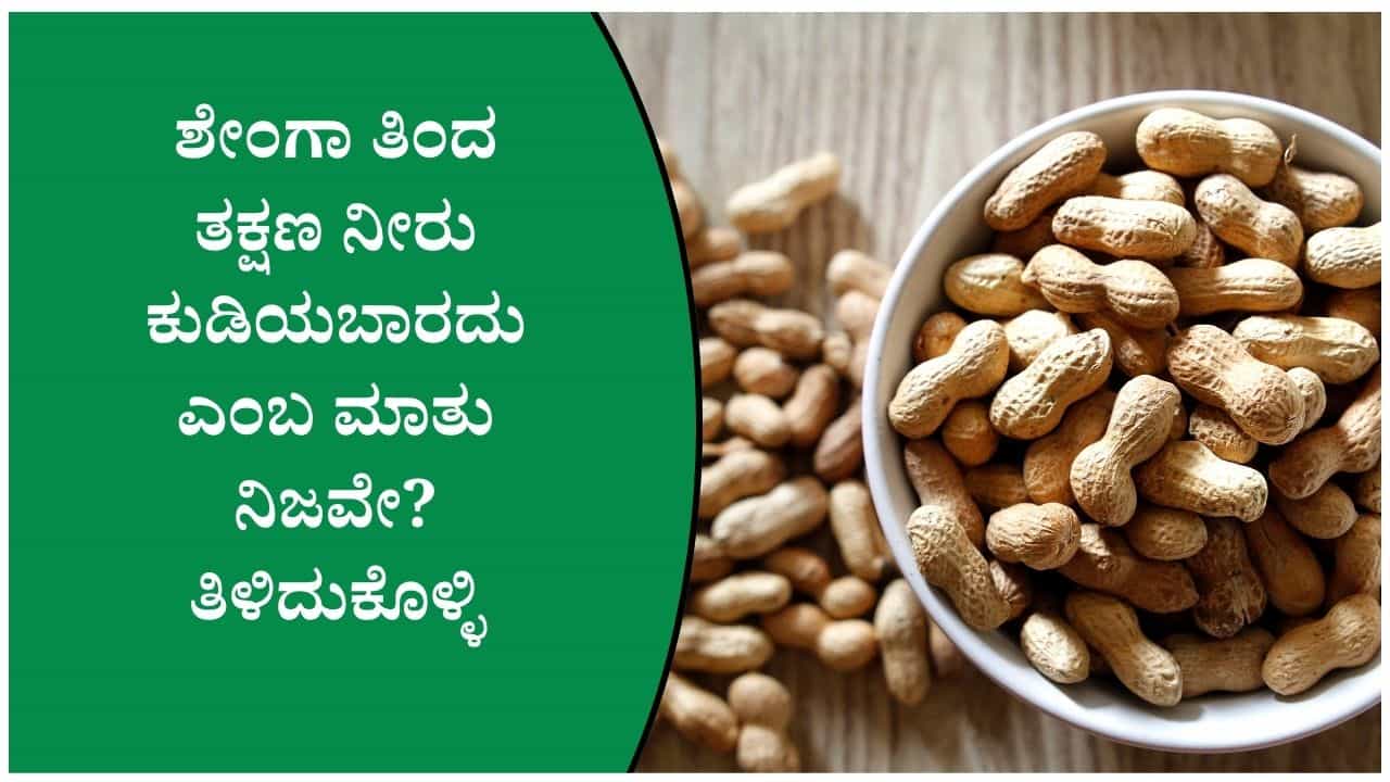 ಶೇಂಗಾ ತಿಂದ ತಕ್ಷಣ ನೀರು ಕುಡಿಯಬಾರದು ಎಂಬ ಮಾತು ನಿಜವೇ? ತಿಳಿದುಕೊಳ್ಳಿ ಶೇಂಗಾ ತಿಂದ ತಕ್ಷಣ ನೀರು ಕುಡಿಯಬಾರದು ಎಂಬ ಮಾತು ನಿಜವೇ? ತಿಳಿದುಕೊಳ್ಳಿ